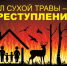 Пожарная безопасность весной 2026: правила, риски и что делать при возгорании - Володарский район